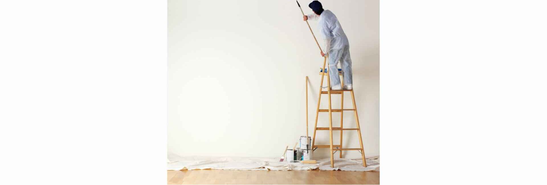 Asian Paints Colourideas -painting services in faridabad