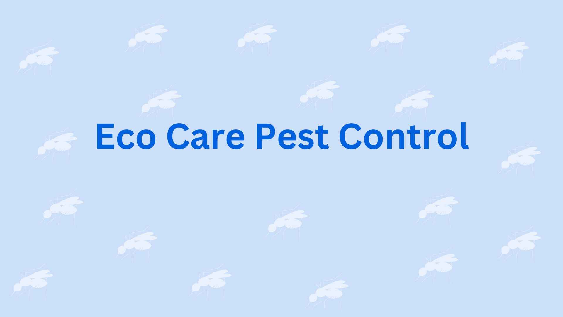 Eco Care Pest Control - Property Dealer in Faridabad