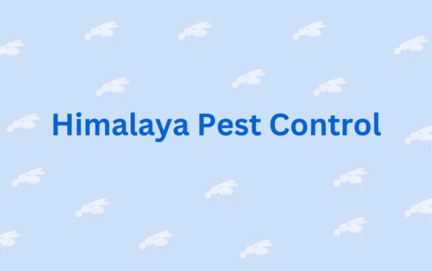 Himalaya Pest Control - pest control experts in Faridabad