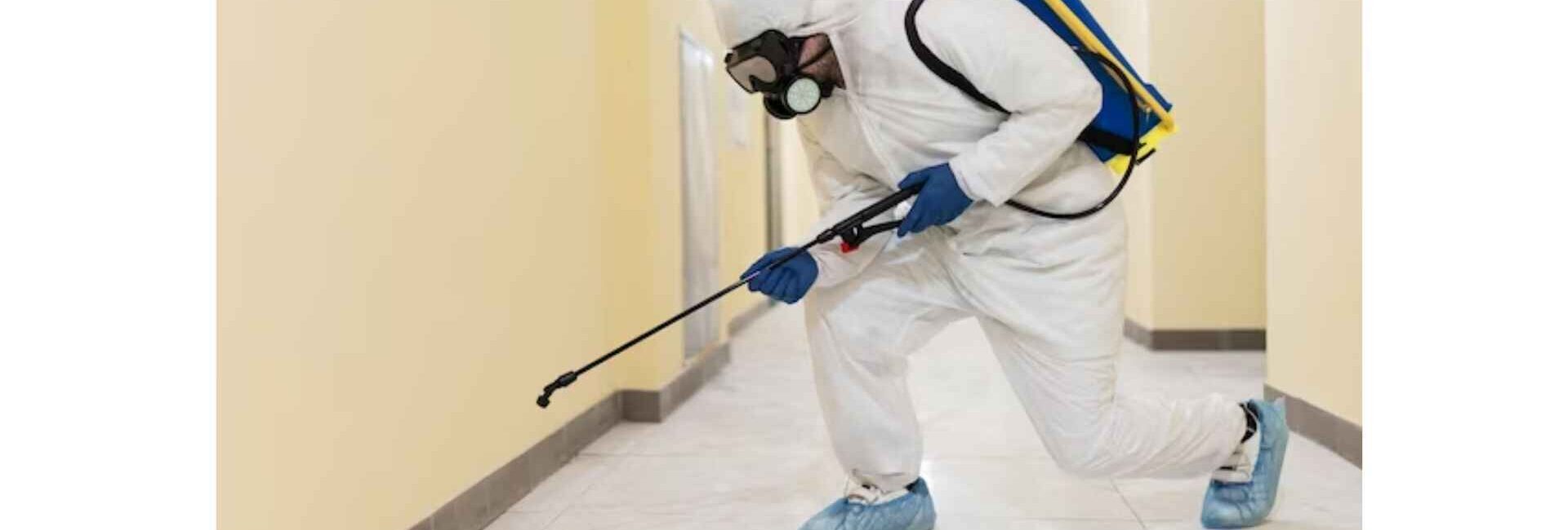 Indian Care Pest Control Service - Pest Control Service in Faridabad
