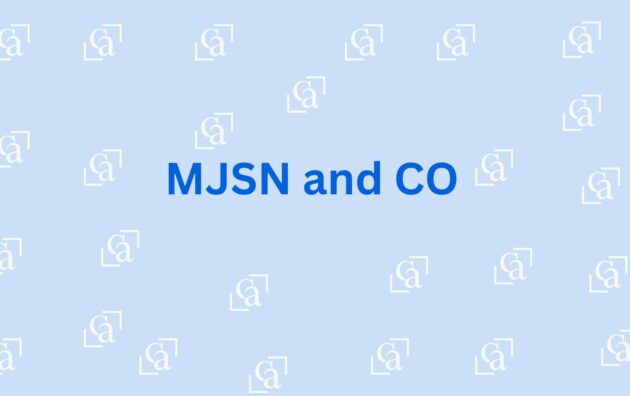 MJSN and CO - CA Firm in Faridabad