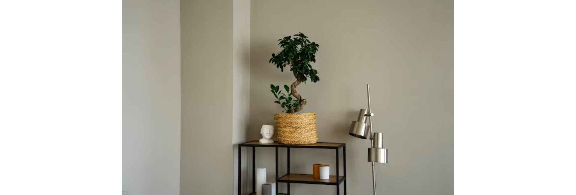 Royal Decor - home decor services in faridabad