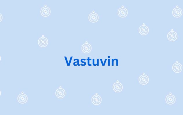 Vastuvin- best Vastu services in Faridabad