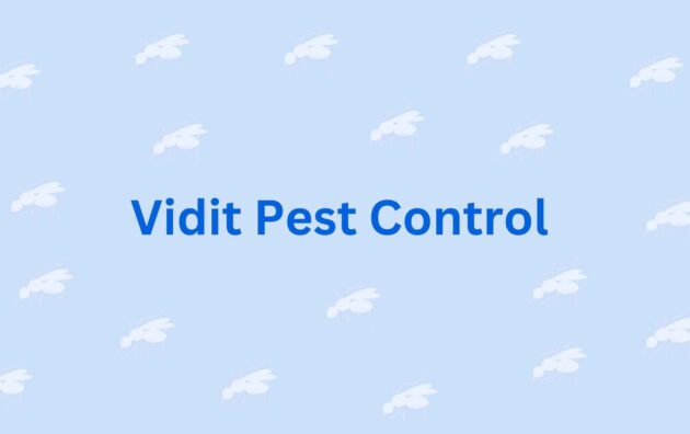 Vidit Pest Control - Pest Control Service in Faridabad