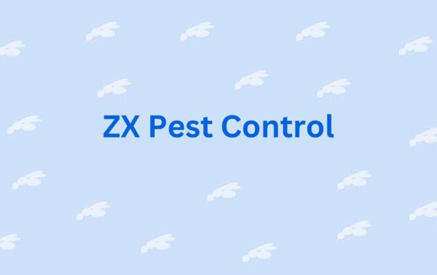 ZX Pest Control - Pest Control in Faridabad