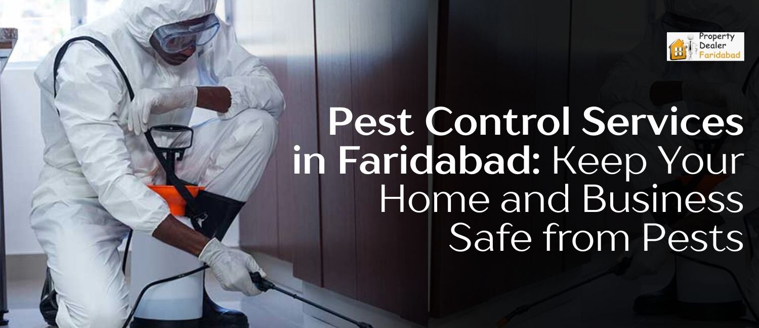 Pest-Control-Services-in-Faridabad-Keep-Your-Home-and-Business-Safe-from-Pests