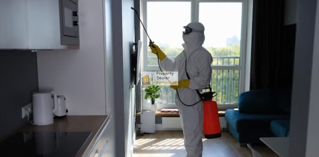 Pest-Control-Services-in-Faridabad-Keep-Your-Home-and-Business-Safe-from-Pests-Who-Can-Benefit-from-Our-Pest-Control-Services