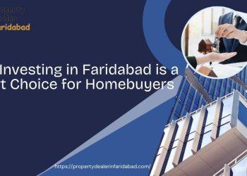 property dealer in hisar