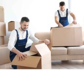 AP Cargo Pvt Ltd - Movers and Packers in Faridabad