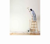 Asian Paints Colourideas -painting services in faridabad