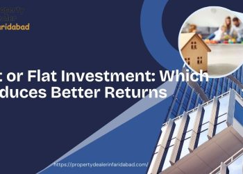 Plot or Flat Investment
