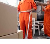 Dhaka Packers And Movers - Movers and Packers Faridabad