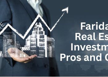 Faridabad-Real-Estate-Investment-Pros-and-Cons.jpg