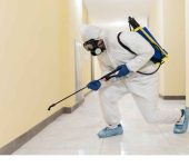 Indian Care Pest Control Service - Pest Control Service in Faridabad