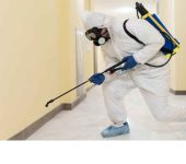 Kanchan Pest Control - Pest Control Service in Faridabad