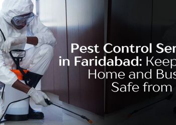 Pest-Control-Services-in-Faridabad-Keep-Your-Home-and-Business-Safe-from-Pests