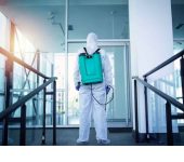 Pestilent Hi Care - Best Pest Control Service in faridabad