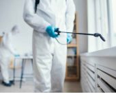 Pooja Pest Control Services - Pest Control in Faridabad