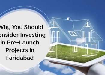Why-You-Should-Consider-Investing-in-Pre-Launch-Projects-in-Faridabad.jpg